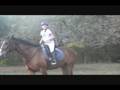videos de Horse Lesson at Sandcastle Stables