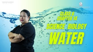 Class VI Science(Biology) Chapter 14: Water