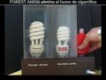 Forest Anion