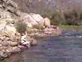 Golden Trout Flyfishing