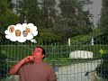 Please Let Me In The Mansion