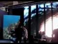 videos de ProLight+Sound 2008