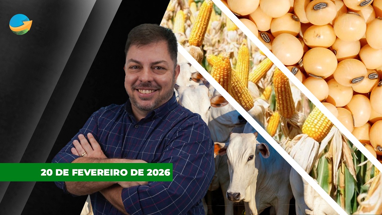 Mais uma semana positiva para arroba boi e com viés para novas altas; Soja e milho repercutem safra