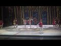 Schwannensee on ice 1.mp4