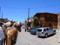 Route 66