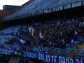 BAD BLUE BOYS  dinamo-rijeka2:0