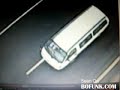 Very Brave Dog crosses busy highway to save his friend Very Brave Dog crosses busy highway to save his friend