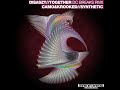 Disaszt - Together (DC Breaks RMX).wmv