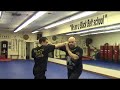 The Choy Lay Fut Project: #5 - Faahn Gok Choih Overhand Hook