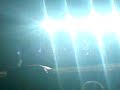 foo fighters - Everlong (live in Norway,Bergen)