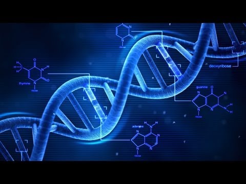 Bizarre Genetic Mysteries - Paranormal Supernatural Documentary