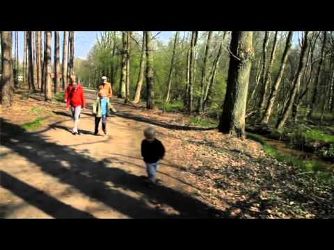 afspelen