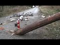 Fatal Car Vs. Utility Pole Accident