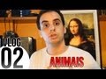 Animais
