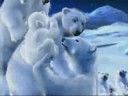 penguins penguins