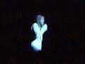 Whitesnake/David