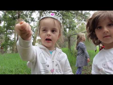 Connecting Children to Parks