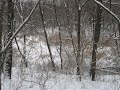 Winter Wind Chimes.wmv