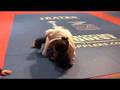 Grapplers Quest 2008 Brandi's 3rd Fight