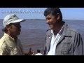 Isla del Cerrito #1 - Zona Safari TV Isla del Cerrito #1 - Zona Safari TV