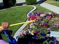 WHEELCHAIR TIPS - DIGGING & PLANTING