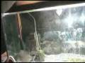 videos de SansTitre_0004.wmv