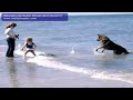 WiiUsers.net Super Smash Bros Brawl Pr..mov