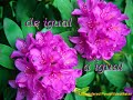 Motivaci�n Liderazgo Superaci�n Personal: \"Deseos Para T�\"