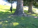 The Burger Burglary 1