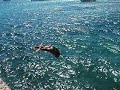 Ogo Torpedo