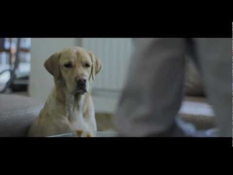 chess tournament chess tournament