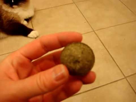 0 Pawbreakers   Floppycats.com Product Review