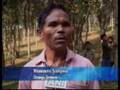 Orange production increases in Assam