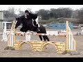 PLEASE COMMENT this video took me ahes and its a bit short at the end but i used every good piece of material i had lol bu please comment thanks lucy xxx