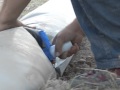 Demostración dinámica del sistema de riego por pulsos en Expoagro Norte 2012