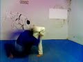 academia cebric 2