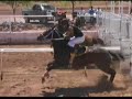 carreras parejeras 2