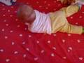 Ianis se intoarce pe burtica!