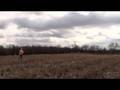 PheasantHunt2008-11-16