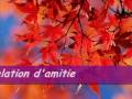 Yassin Aicha Amitie