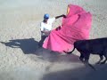 Yo toreando una vaquilla