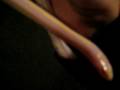 videos de king snake II