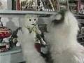 PSA Better Business Bureau Abominable Snowman