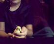 bird handling teaching loving