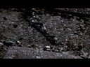 Efterklang - Horseback Tenors
