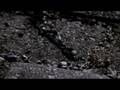 Efterklang - Horseback Tenors