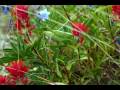 Guided Hiking & Walking Tours, New England Hiking Holidays