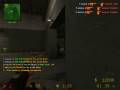 animaL 5 man