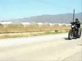 1996 Harley Davidson Sportster Custom on Ebay