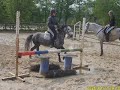 Les poneys du CHM en Folie ^^